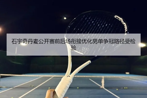 石宇奇丹麦公开赛前后场衔接优化男单争冠路径受检验